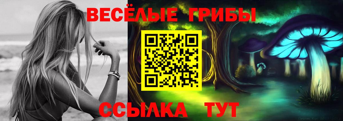 Химки  Псилоцибиновые грибы GOLDEN TEACHER  Галлюциногенные грибы Psilocybine cubensis  Вход с VPN 